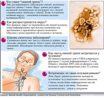 Инфографика H1N1